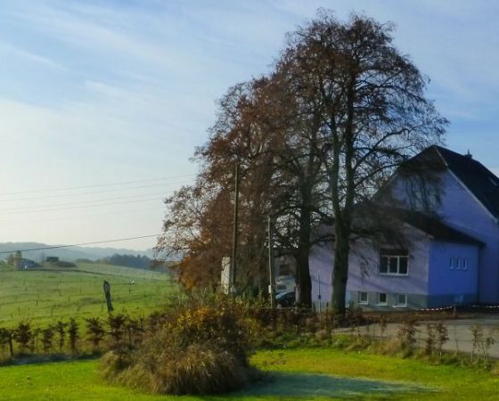 Yoga-Wochenende März 2023 im Bergischen Land