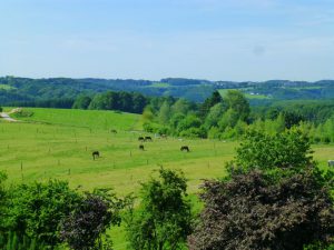 Yoga-Wochenende Bergisches Land 2019