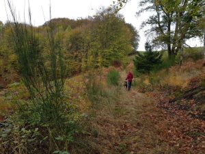 Yoga-Wochenende Bergisches Land 2019